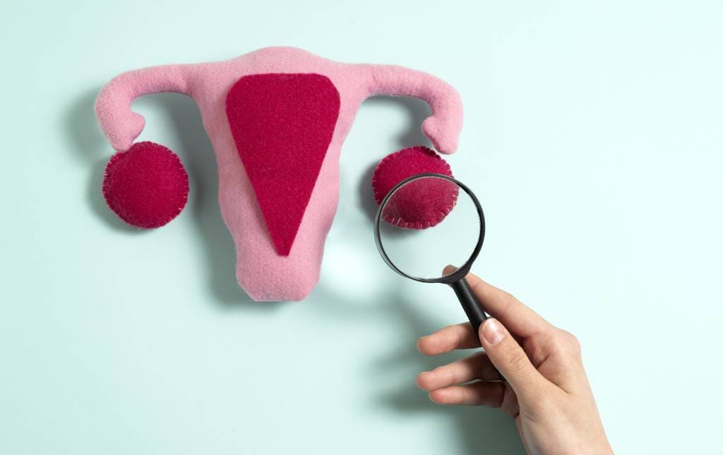 Check up ginecológico