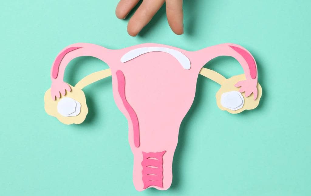 Check up ginecológico