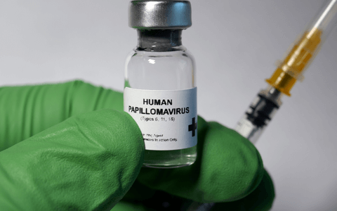 Virus del Papiloma Humano